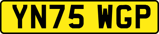 YN75WGP