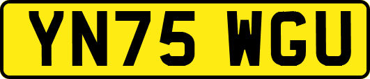 YN75WGU