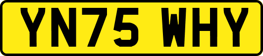 YN75WHY