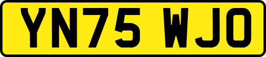 YN75WJO