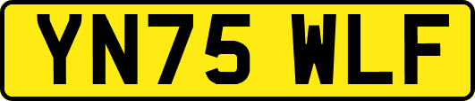 YN75WLF