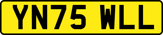 YN75WLL