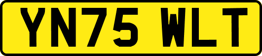 YN75WLT