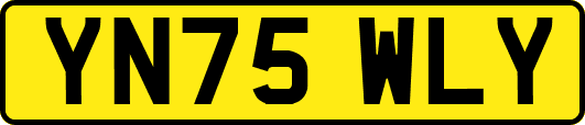 YN75WLY
