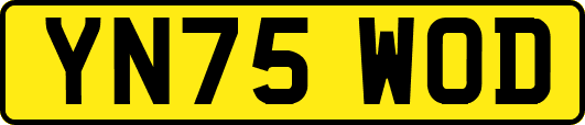 YN75WOD
