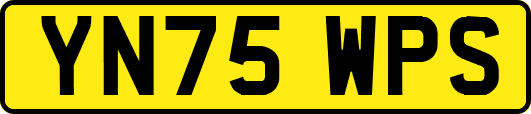 YN75WPS