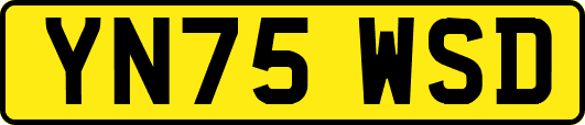 YN75WSD
