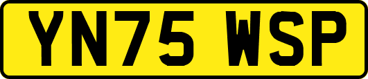 YN75WSP