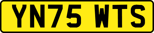 YN75WTS