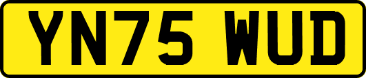 YN75WUD