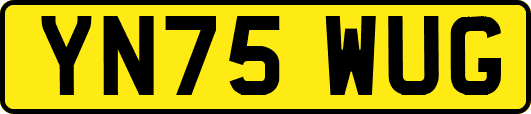 YN75WUG