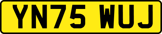 YN75WUJ