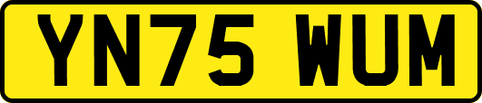 YN75WUM