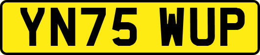 YN75WUP