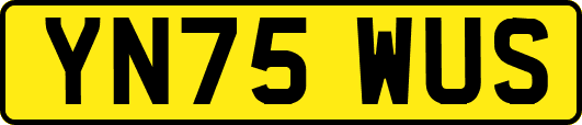 YN75WUS