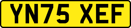YN75XEF