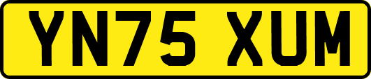 YN75XUM