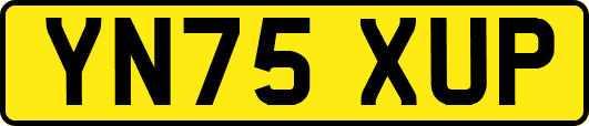 YN75XUP
