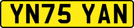 YN75YAN