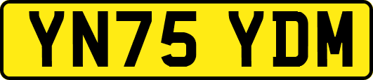 YN75YDM