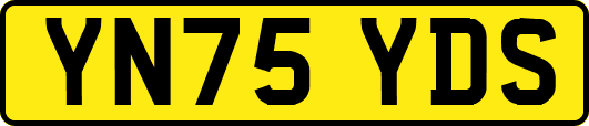 YN75YDS