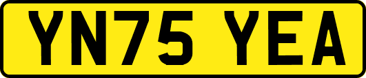 YN75YEA
