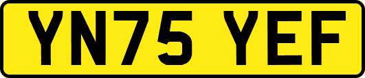 YN75YEF