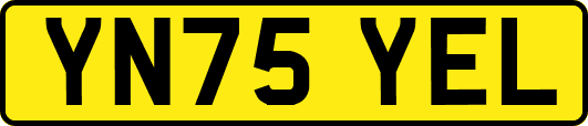 YN75YEL