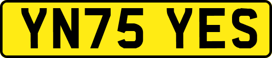 YN75YES