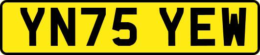 YN75YEW
