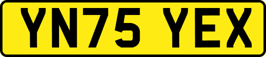 YN75YEX