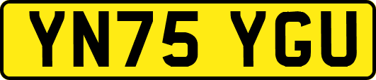 YN75YGU