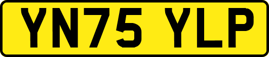 YN75YLP