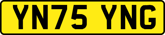 YN75YNG