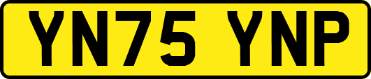 YN75YNP