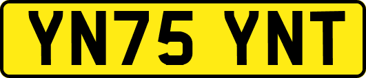 YN75YNT