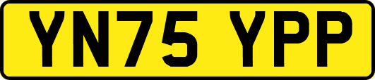 YN75YPP