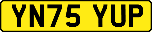 YN75YUP