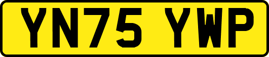 YN75YWP