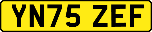 YN75ZEF