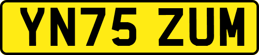 YN75ZUM