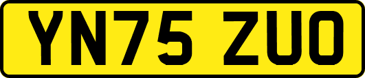YN75ZUO