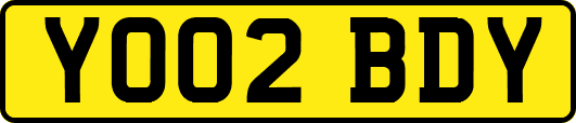 YO02BDY