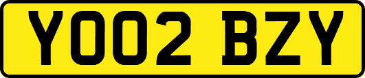 YO02BZY