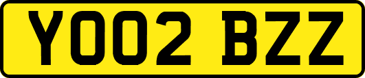 YO02BZZ