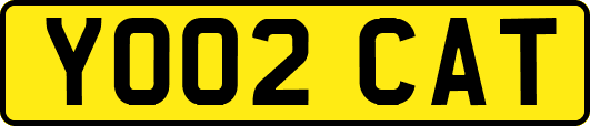 YO02CAT