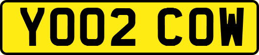 YO02COW