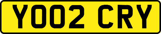 YO02CRY