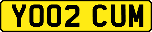YO02CUM
