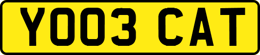 YO03CAT